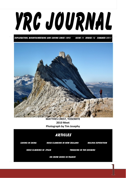 YRCJ 2011; 13(11) cover
